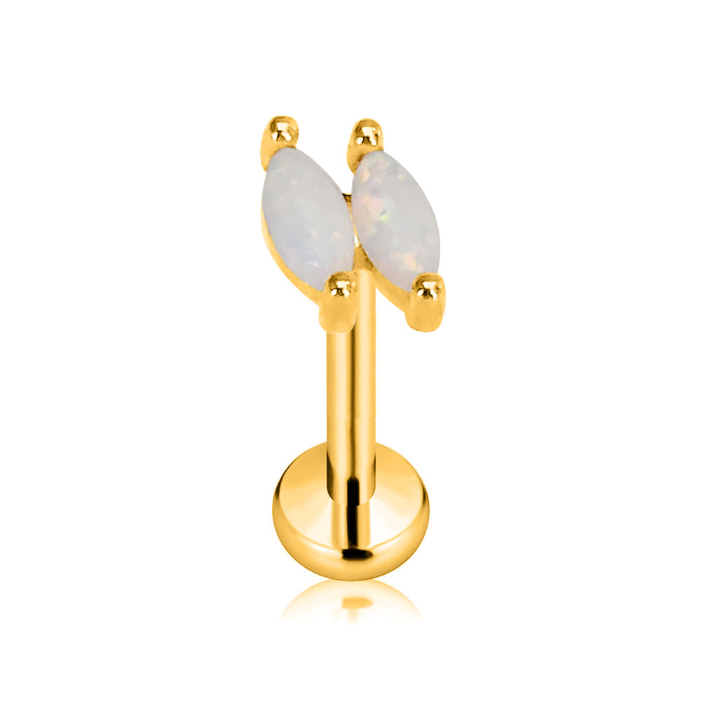 ASTM F136 G23 Flor de titânio  - Body Jewelry Threadless avaliação e preço